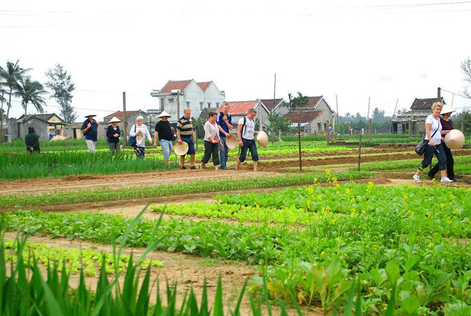 A Farm Tour to Tra Que Vegetable Village