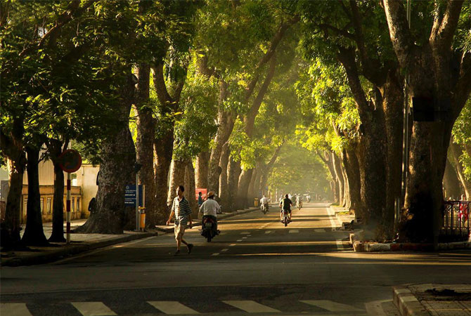 Hoang Dieu Street Summer Morning