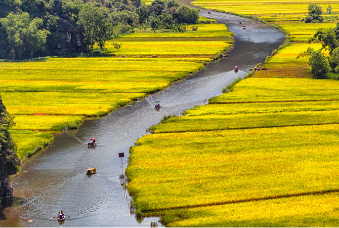 Sightseeing boat in Tam Coc - Ninh Binh