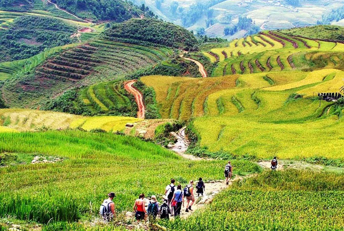 Trek in Sapa