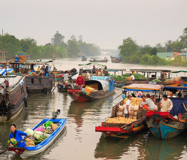 Đồng Bằng Sông Cửu Long