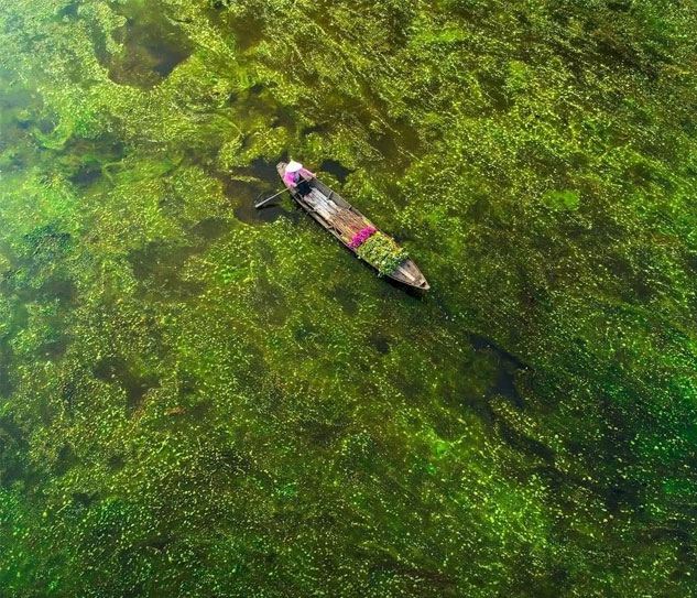 Đồng Bằng Sông Cửu Long
