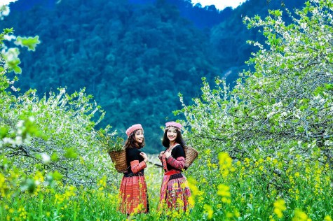 Mai Châu đến Mộc Châu