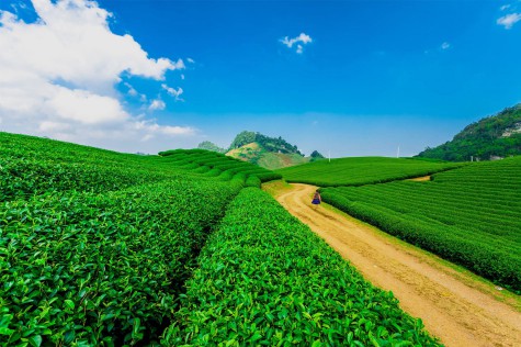 Mai Châu đến Mộc Châu
