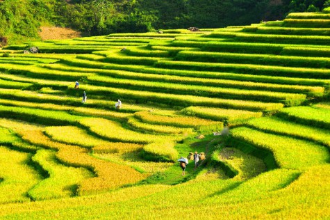 Đi bộ khám phá Pù Luông