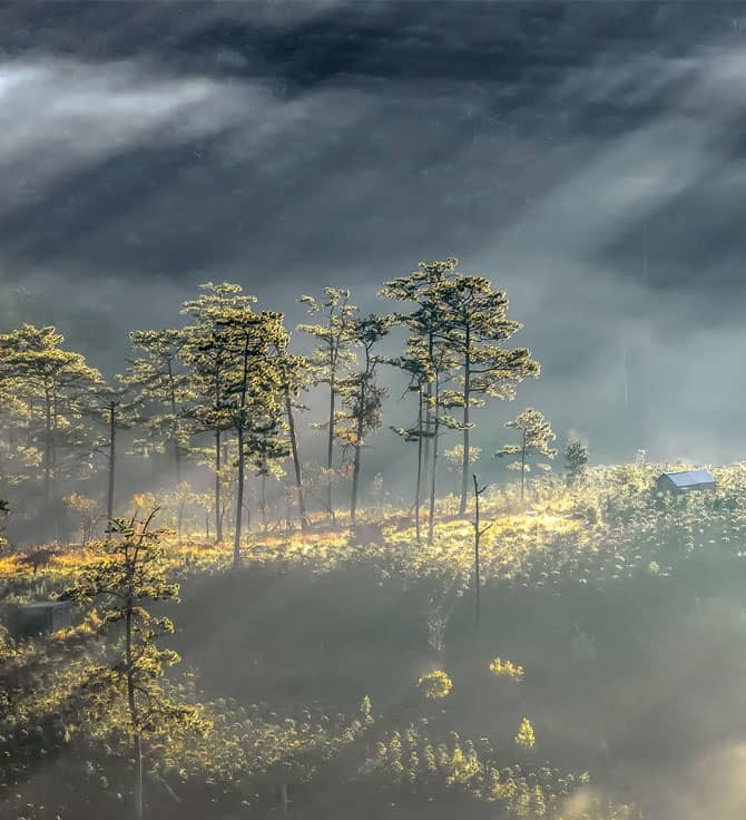 Khám Phá Đà Lạt và bãi biển Nha Trang