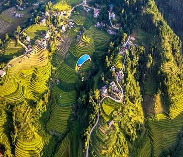 BÌNH LIÊU – MÙA CỎ LAU CHINH PHỤC SỐNG LƯNG KHỦNG LONG