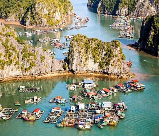 VERDURE LOTUS CRUISES 3 NGÀY 2 ĐÊM