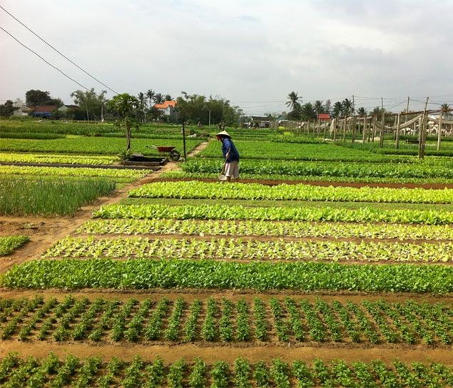 Những điểm du lịch không thể bỏ qua ở miền Trung và miền Nam